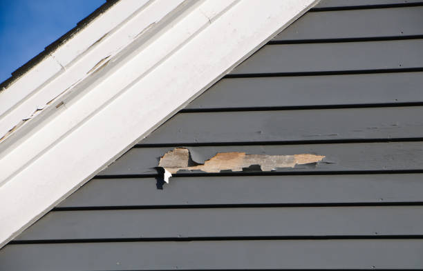 Best Construction Debris Removal  in Moss Point, MS